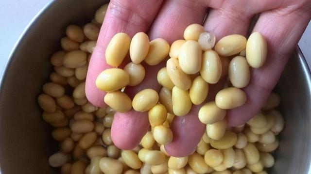 家用青黄豆破碎机