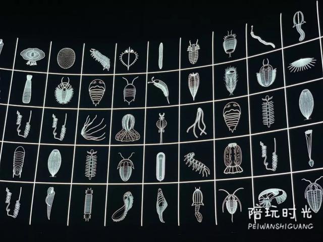 移动摩天轮洗砂机报价