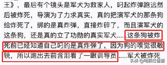 犬王(犬王炸死军犬图片) 资讯 第16张