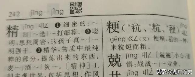 十年过去了,湖广渔夫特地找来2020年最新版《新华字典》查看,"粳"字