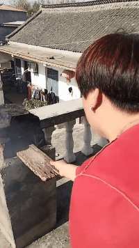 搞笑的GIF趣图：待我舔开之时，便是天下大乱之日