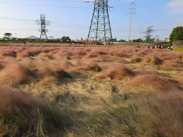 孩子是父母的“复印件”雷鸟自律日记054