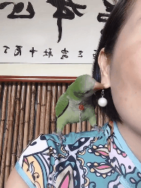搞笑雷人的动图GIF图片：其实，隔壁老王也不好当啊！