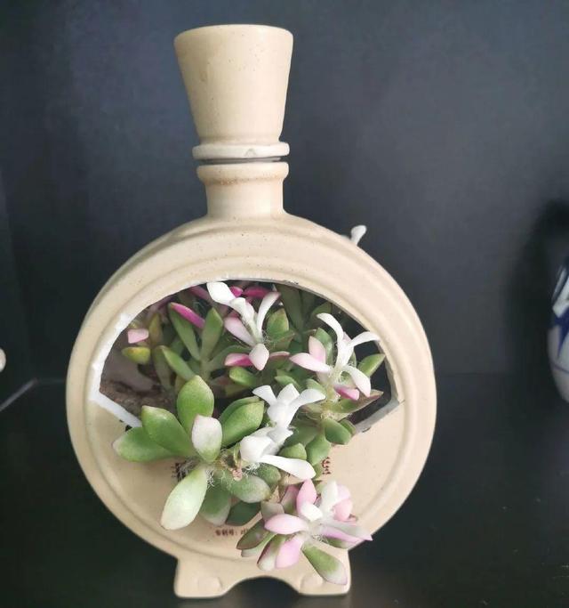 洗土豆机更换金刚砂
