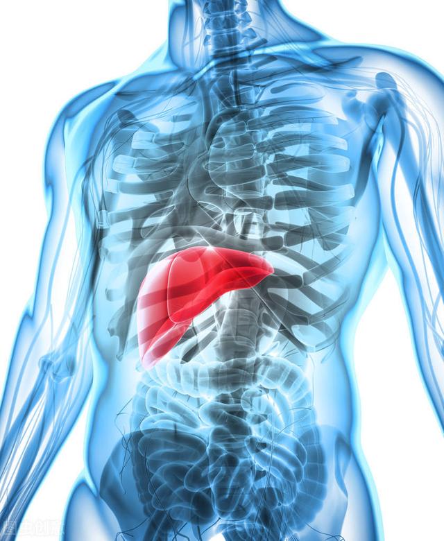 肝硬化腹水选中医还是西医治疗？肝硬化腹水没了就好了吗？