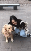 爆笑的动态图：这就是所谓的舔狗？