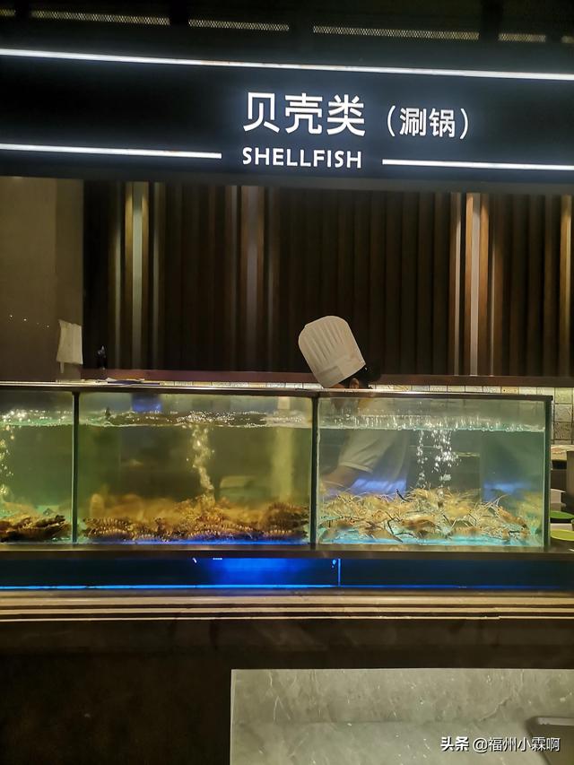 福州海鲜自助餐前十名（福州海鲜自助餐排行榜）