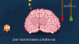 为什么亲男朋友脖子他会起鸡皮疙瘩