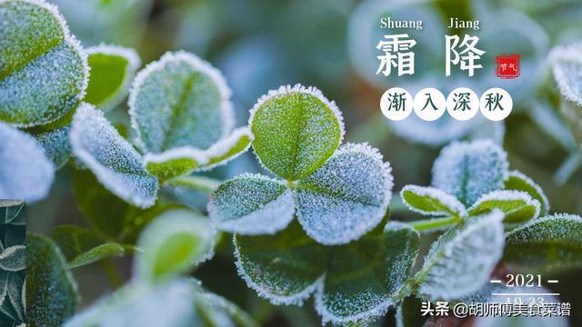明天霜降，别忘记了吃3白3黑，少吃3样，顺应时节，家人都健康
