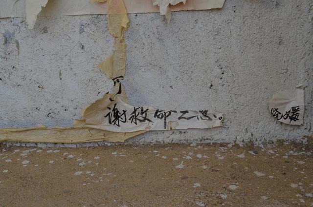 电影无人区在哪儿拍的（电影无人区的拍摄地点）