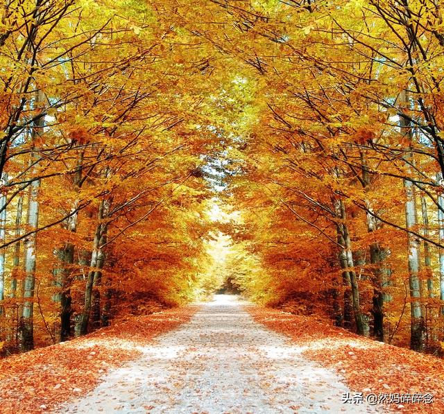 秋季宝宝喝什么汤好？三款儿童汤宝妈炖起来