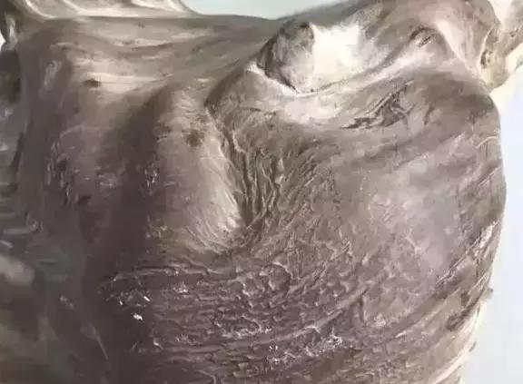 崖柏鱼鳞纹是什么样