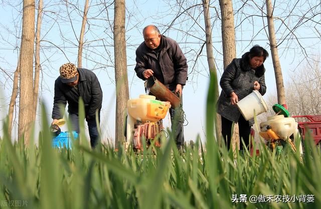 小麦春季要重防纹枯病、赤霉病、白粉病和锈病，打药配方请收好3