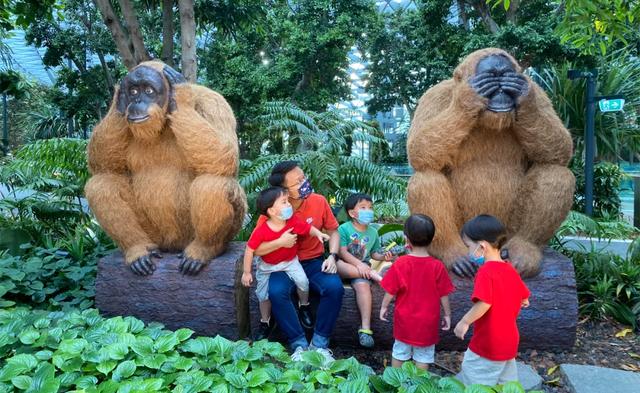 快乐又崩溃！我在新加坡7年，连生了5个儿子......