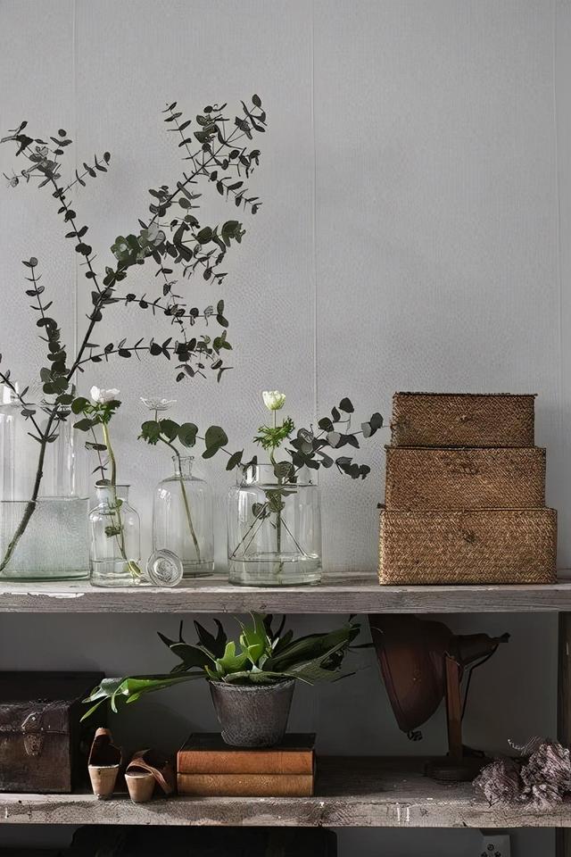 超好養活的水培植物 憑什麼是ins最火網紅 Kks資訊網