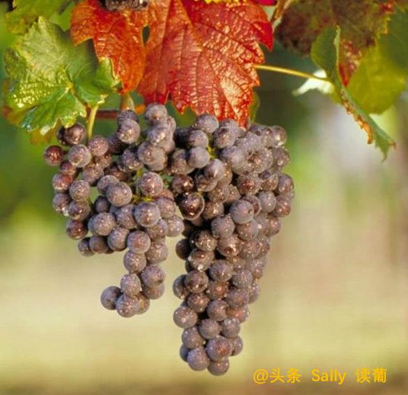 六九破碎机底座螺杆尺寸