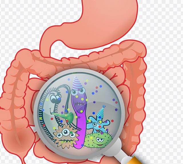 肠胃炎知识小科普