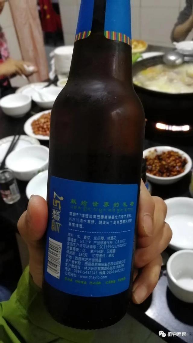 丙察察是什么地方