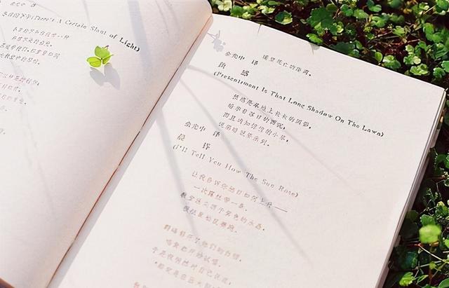 长大变成熟的经典说说大全 适合发说说的人生硬道理