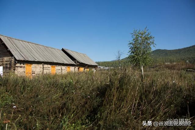 油擦 油擦（颈椎病用精油擦） 生活