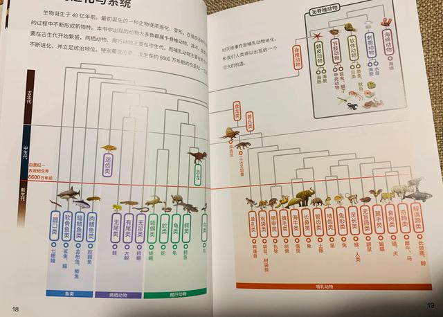 从长着蝴蝶结角的古生物到丰富的现生生物，我沉迷这本书不可自拔