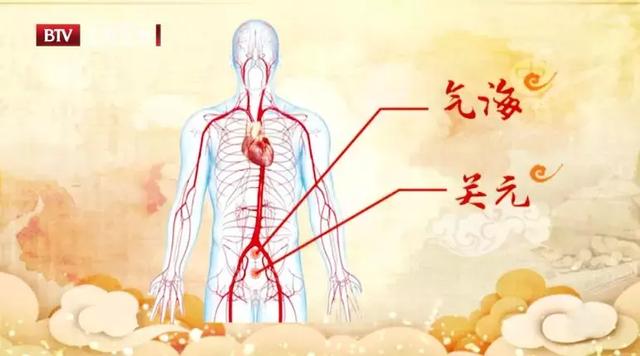 尿检查vc11是什么意思