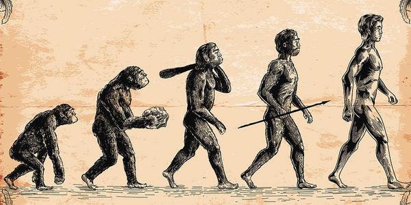 进化论被推翻,进化论被推翻三大理由