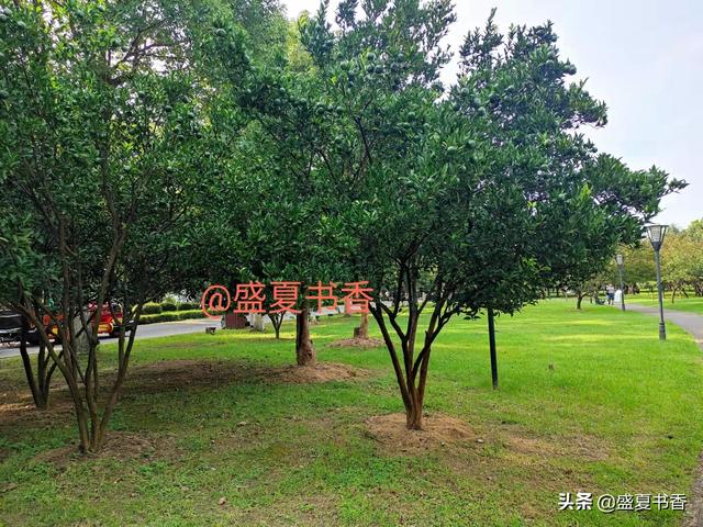 培养孩子的逻辑思维能力，试试这几个方法