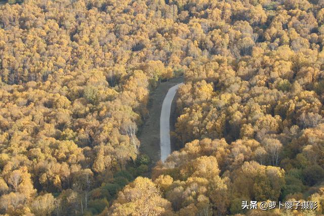 一路向北草原自駕行4：柳樹溝