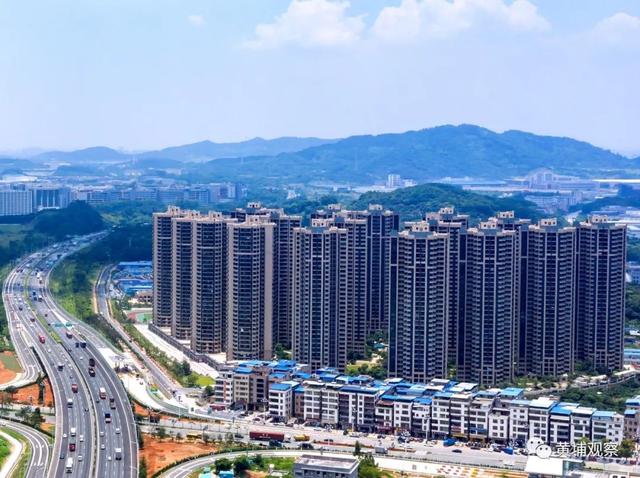 广州市黄埔区过滤机