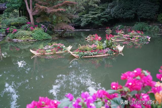 园林机械展杭州