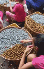 搞笑的动图GIF：美女埋在雪里干什么呢？