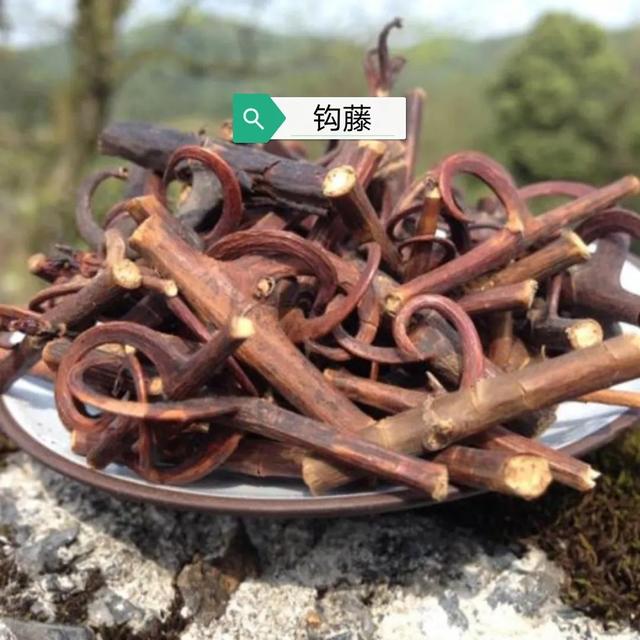 中药古今研究：钩藤