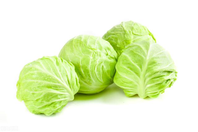 甘蓝菜的营养价值