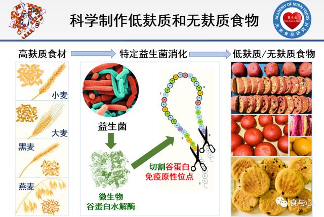 人体能消化麸质吗？怎样安全地吃面食？