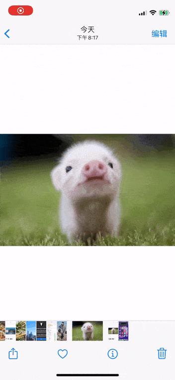 用了5年iPhone，才知道「相册」能这样玩