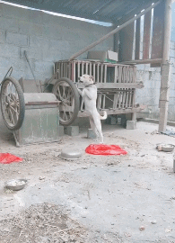 爆笑动图：这是我见过最贵的足疗了