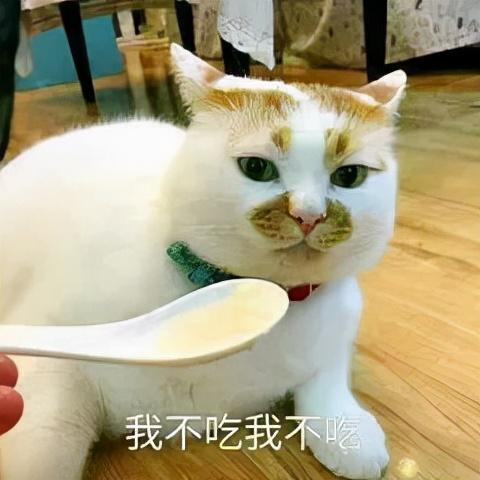 胃口不好怎么办