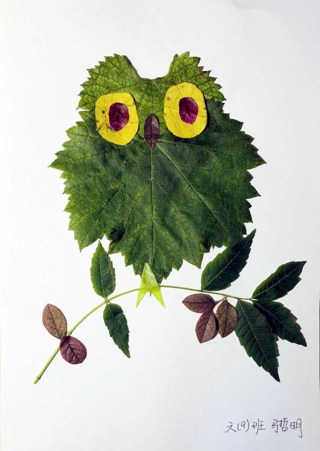 树叶变变变手工创意画幼儿园(变废为宝树叶画)