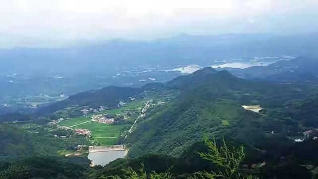 鸟声是云山悠然的种子//邹三龙