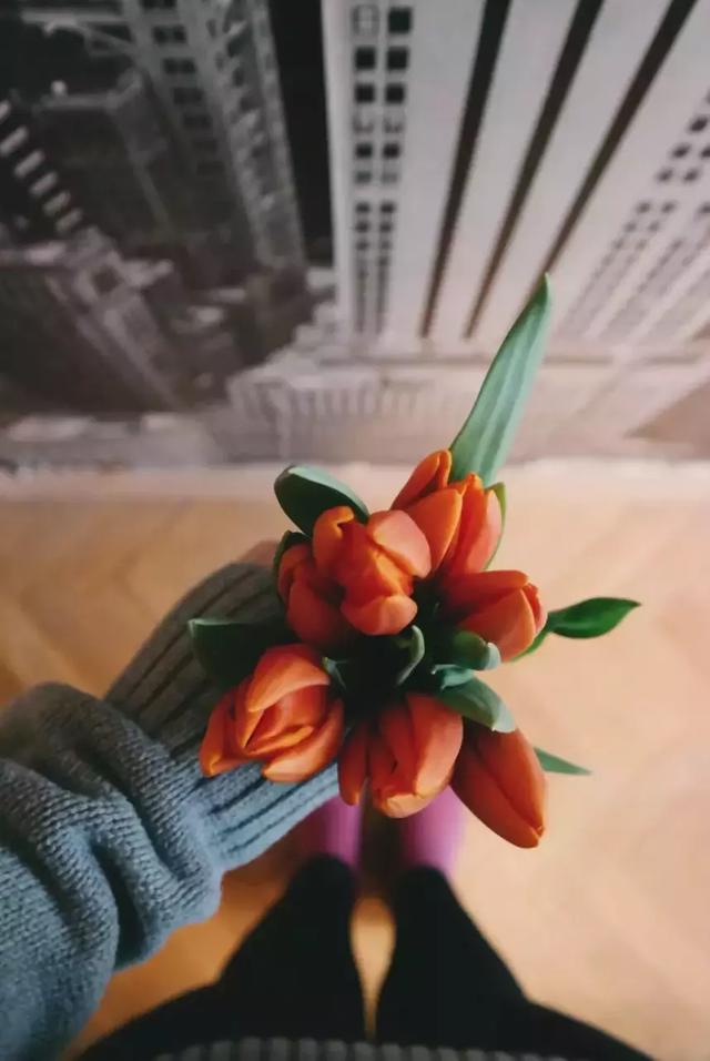 晚安短语181207：世不遇你，生无可喜
