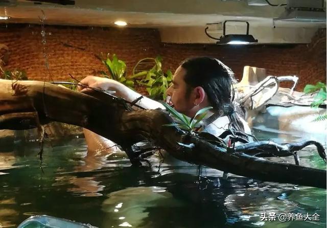 鱼缸制氧过滤机带装饰