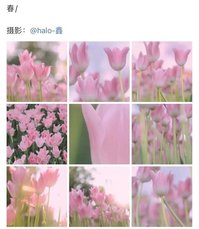 保姆级教程!九宫格创意出圈