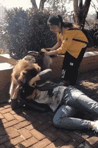 爆笑的动图GIF：你的摩托车加的是白酒吧