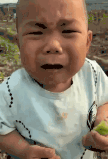 爆笑动图:倒挂树枝上拍婚纱照!现在的摄影师真的是太不容易了!