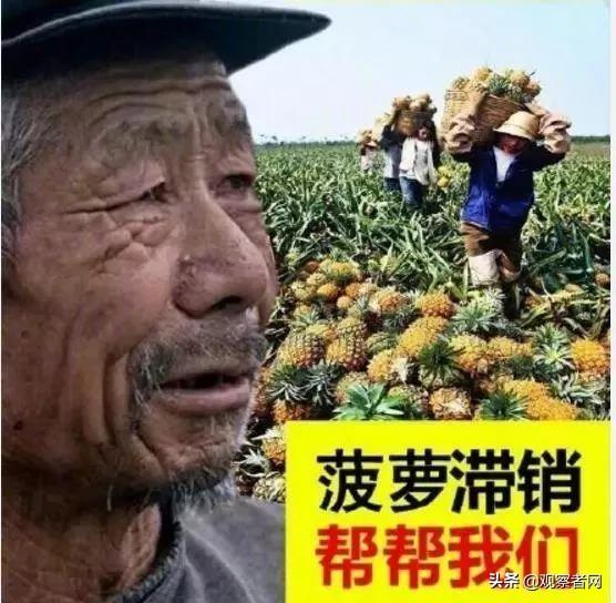 那些卖不掉的农产品，再也不会烂在地里了3