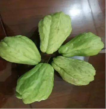 佛手瓜是一道保健菜，秋末冬初可以吃起来