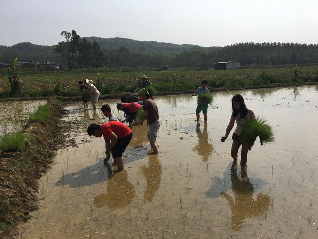 你体罚过孩子吗？体罚孩子会造成什么后果？