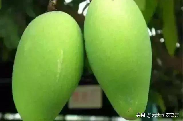 普洱单缸圆锥破碎机哪家价格便宜