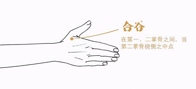 九種體質你到底屬于哪一種，又該怎樣調理？中醫陳瑩告訴您